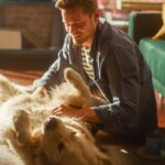 Pet-Friendly Home Features That Can Increase Value