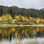 Calm water reflecting vibrant fall foliage along the Clearwater River in Idaho.