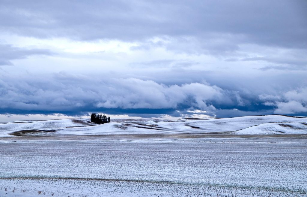 Snow-covered farmland in the Palouse region of Idaho during a stormy winter day.