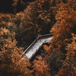 An aerial view of a path and bridge winding through a deciduous forest with autumn foliage.